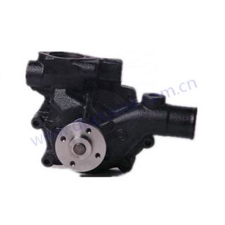 CUMMINS,Water Pump