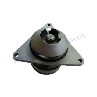 CUMMINS,Water Pump