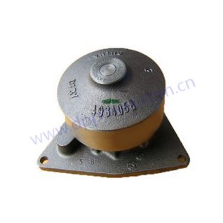 CUMMINS,Water Pump