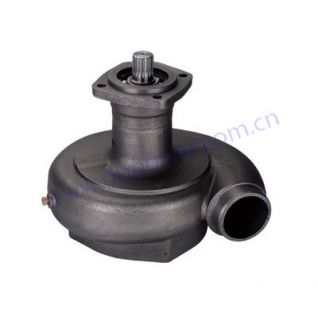 CUMMINS,Water Pump