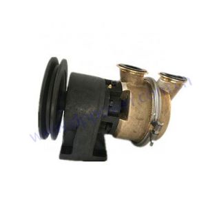 CUMMINS,Water Pump
